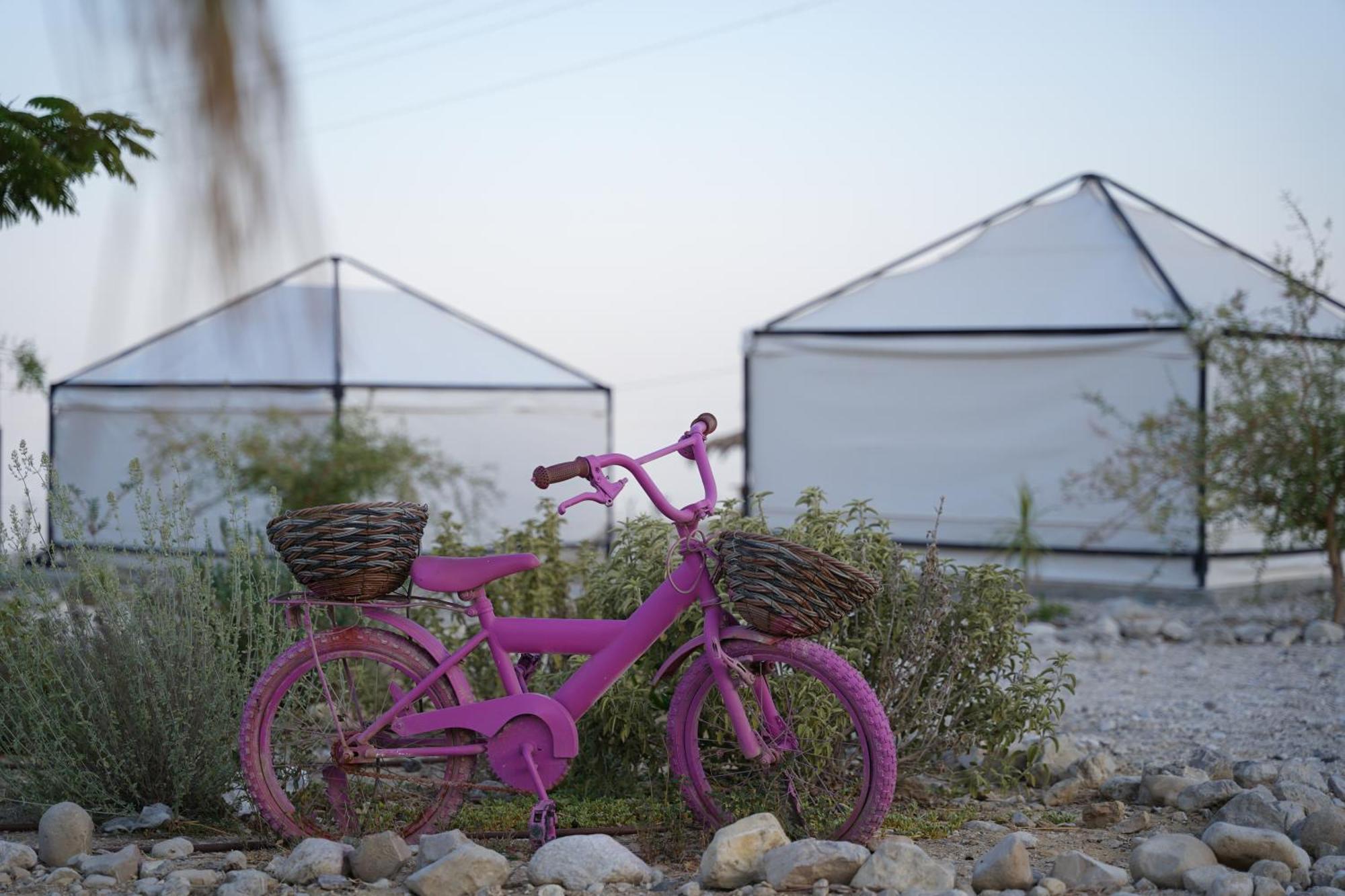 Tranquilo - Dead Sea Glamping *